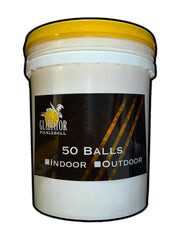 Indoor and Outdoor Pickleballs