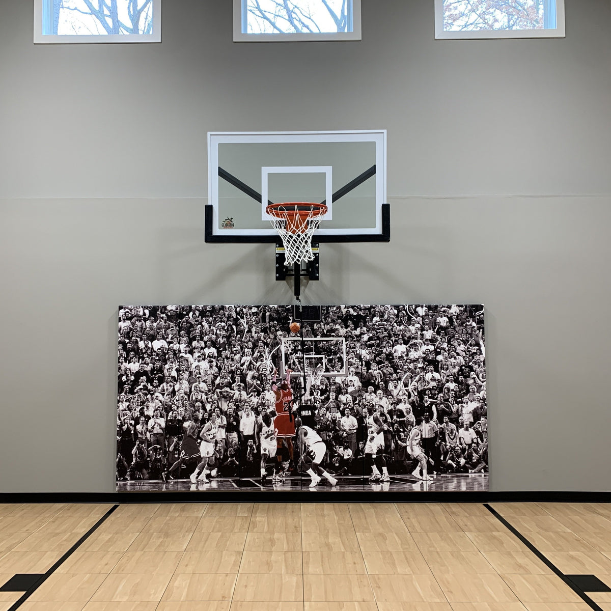 Adjustable Wall Mounted Hoop