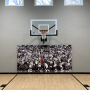 Adjustable Wall Mounted Hoop
