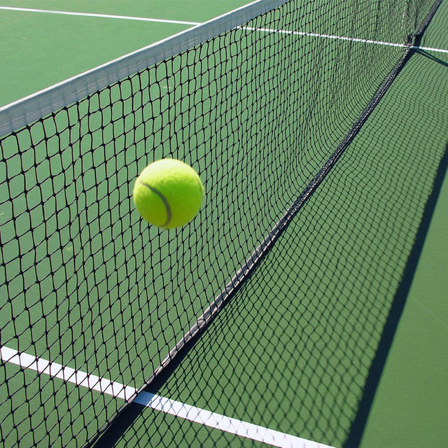 Multi-Game Net